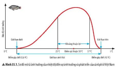 KHTN Lớp 7 Bài 35: Các nhân tố ảnh hưởng đến sinh trưởng và phát triển của sinh vật