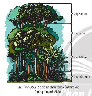 KHTN Lớp 7 Bài 35: Các nhân tố ảnh hưởng đến sinh trưởng và phát triển của sinh vật