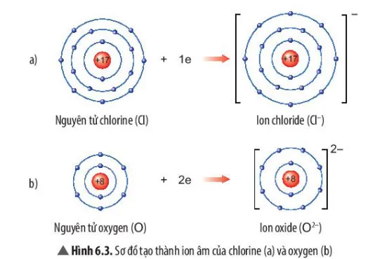 KHTN Lớp 7 Bài 6: Giới thiệu về liên kết hóa học