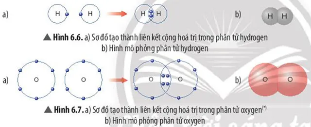 KHTN Lớp 7 Bài 6: Giới thiệu về liên kết hóa học