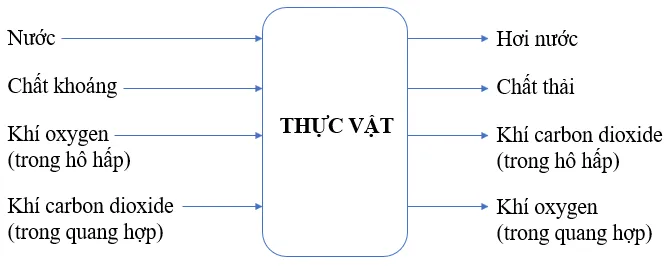 KHTN Lớp 7: Bài tập Chủ đề 8