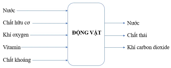 KHTN Lớp 7: Bài tập Chủ đề 8