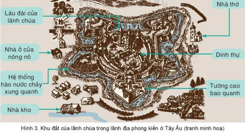 Lịch sử 7 Bài 1: Quá trình hình thành và phát triển của chế độ phong kiến ở Tây Âu