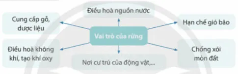 Lịch sử Địa lí lớp 4 Bài 15: Thiên nhiên vùng Tây Nguyên