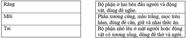 Luyện từ và câu: Luyện tập về từ nhiều nghĩa trang 73