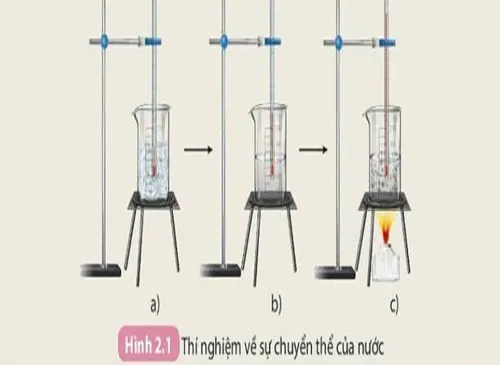 Lý thuyết Khoa học tự nhiên 8 Kết nối tri thức với cuộc sống