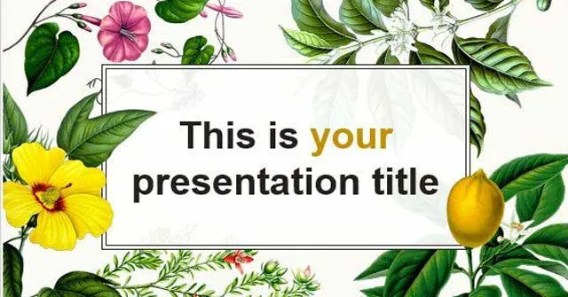 Mẫu slide Powerpoint bài giảng đẹp nhất