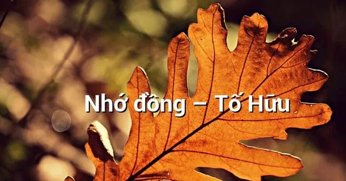 Phân tích bài thơ Nhớ đồng của Tố Hữu (Dàn ý + 6 mẫu)