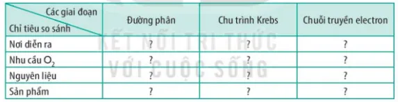 Sinh học 10 Bài 14: Phân giải và tổng hợp các chất trong tế bào