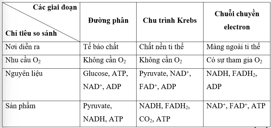 Sinh học 10 Bài 14: Phân giải và tổng hợp các chất trong tế bào