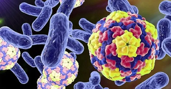 Sinh học 10 Bài 21: Khái niệm, cấu tạo và chu trình nhân lên của virus