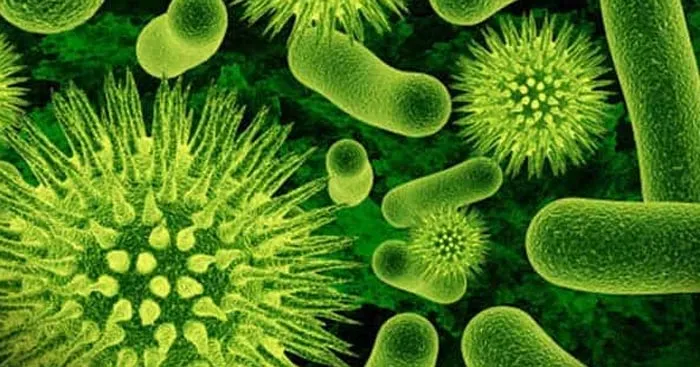 Sinh học 10 Bài 22: Phương thức lây truyền, cách phòng chống và ứng dụng của virus