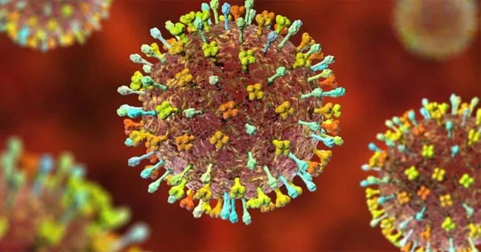 Sinh học 10 Bài 25: Một số bệnh do virus và các thành tựu nghiên cứu ứng dụng virus