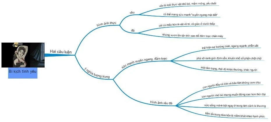 Sơ đồ tư duy bài Tự tình 2