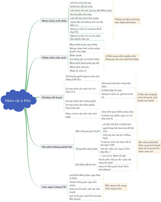 Sơ đồ tư duy bài Vợ chồng A Phủ