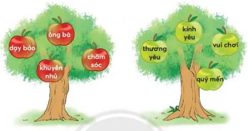 Soạn bài Bà nội, bà ngoại trang 66