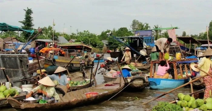 Soạn bài Chợ nổi Cà Mau (trang 10)