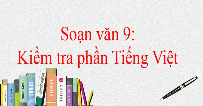 Soạn bài Kiểm tra phần Tiếng Việt