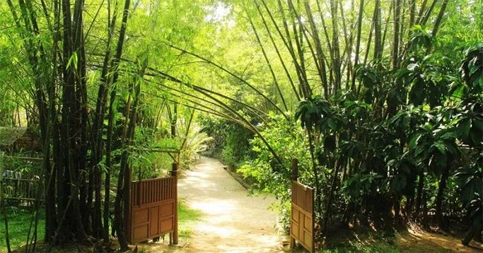 Soạn bài Lũy tre (trang 34)