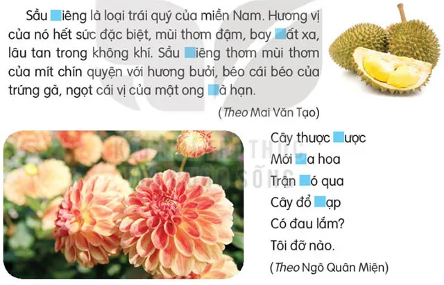 Soạn bài Mặt trời xanh của tôi (trang 32)