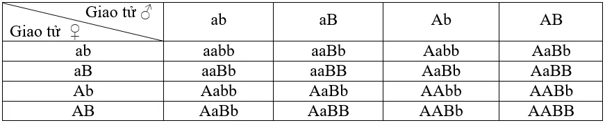 Soạn Sinh 9 Bài 11: Phát sinh giao tử và thụ tinh