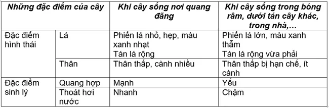 Soạn Sinh 9 Bài 42: Ảnh hưởng của ánh sáng lên đời sống sinh vật