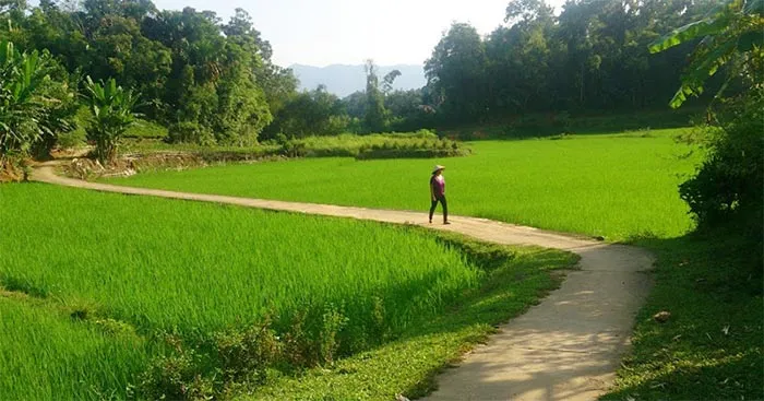 Tập làm văn lớp 5: Đoạn văn tả cảnh thanh bình của một miền quê hoặc thành phố