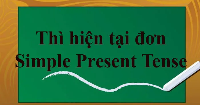 Thì hiện tại đơn: Công thức, cách dùng và bài tập