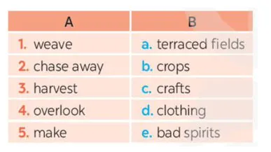 Tiếng Anh 8 Review 2: Language