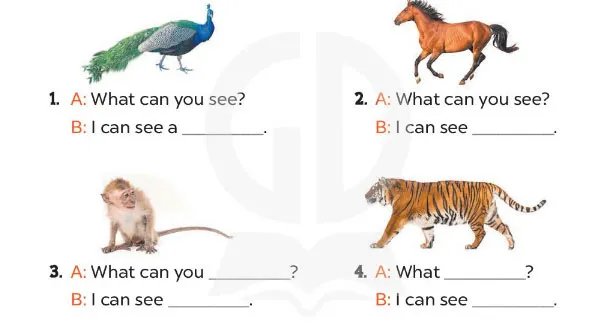 Tiếng Anh lớp 3 Unit 20: Lesson 1