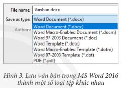 Tin học 7 Bài 4: Phân loại tệp và bảo vệ dữ liệu trong máy tính