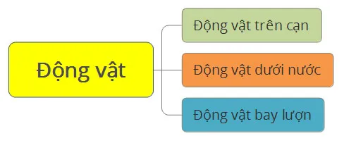 Tin học lớp 3 Bài 2: Cây thư mục