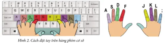 Tin học lớp 3 Bài 2: Em tập gõ hàng phím cơ sở