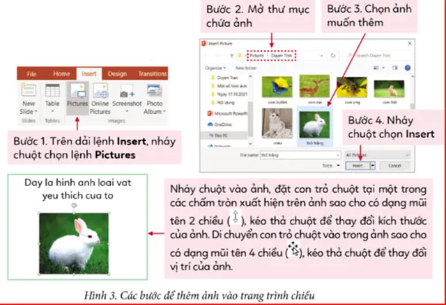 Tin học lớp 3 Bài 2: Thêm ảnh vào trang trình chiếu