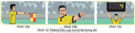 Tin học lớp 3 Bài 2: Xử lí thông tin