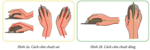 Tin học lớp 3 Bài 3: Em tập sử dụng chuột