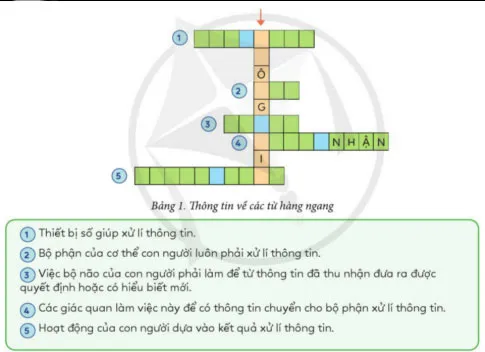 Tin học lớp 3 Bài 4: Ôn tập về thông tin và xử lí thông tin