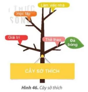 Tin học lớp 3 Bài 8: Sơ đồ hình cây. Tổ chức thông tin trong máy tính