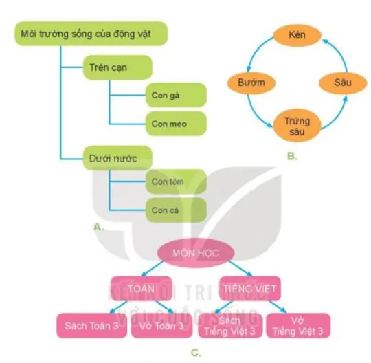 Tin học lớp 3 Bài 8: Sơ đồ hình cây. Tổ chức thông tin trong máy tính