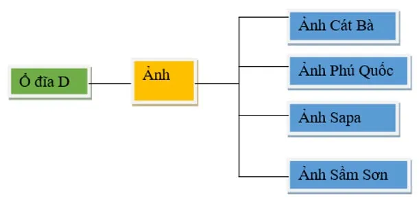 Tin học lớp 3 Bài 8: Sơ đồ hình cây. Tổ chức thông tin trong máy tính