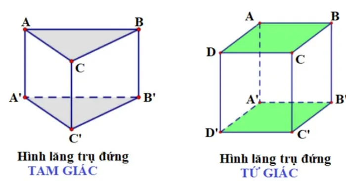 Toán 11 Bài 5: Hình lăng trụ và hình hộp