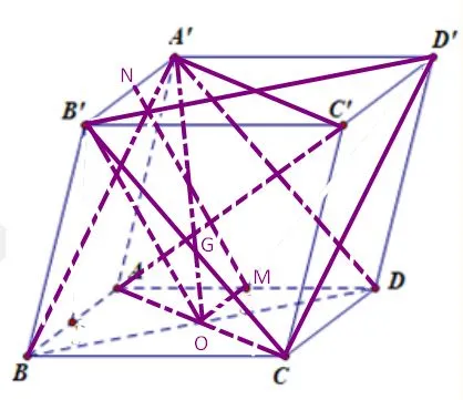 Toán 11 Bài tập cuối chương IV