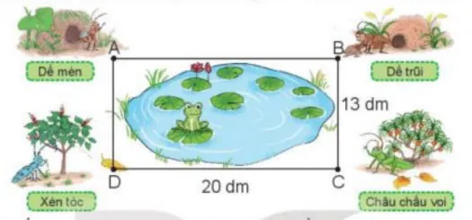 Toán 3 Bài 19: Hình tam giác, hình tứ giác. Hình chữ nhật, hình vuông