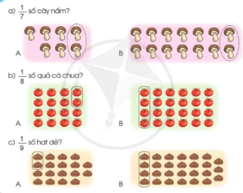 Toán 3: Một phần bảy. Một phần tám. Một phần chín