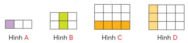 Toán 3: Một phần hai, một phần ba, một phần tư, một phần năm