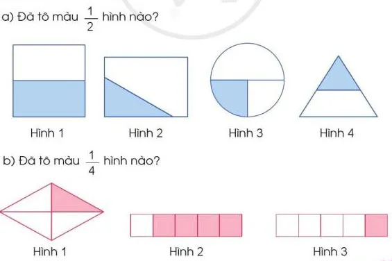 Toán 3: Một phần hai. Một phần tư