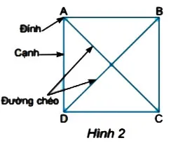 Toán 6 Bài 1: Hình vuông, Tam giác đều, Lục giác đều