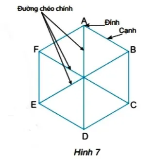 Toán 6 Bài 1: Hình vuông, Tam giác đều, Lục giác đều