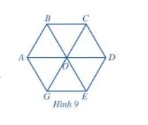 Toán 6 Bài 1: Tam giác đều. Hình vuông. Lục giác đều