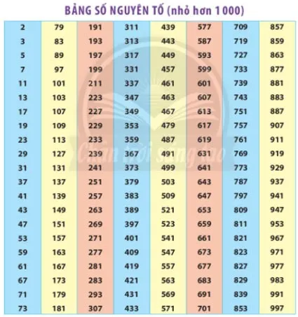 Toán 6 Bài 11: Hoạt động thực hành và trải nghiệm